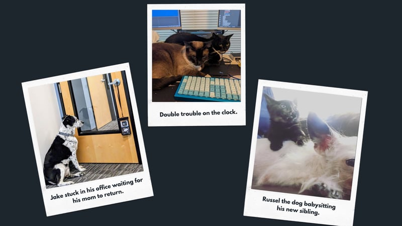 Copy of Copy of Ivory Bright Realistic Photo Collage Instagram Post (Presentation)-1