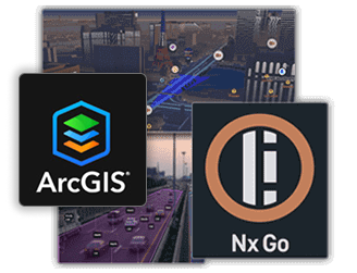 NxGoxArcGIS